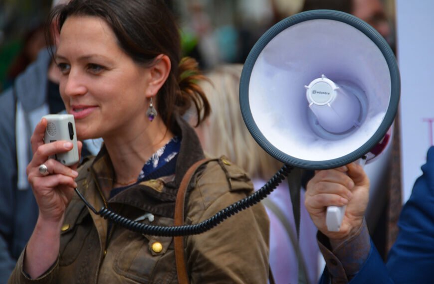 How Democratic Institutions Survive In&hellip;