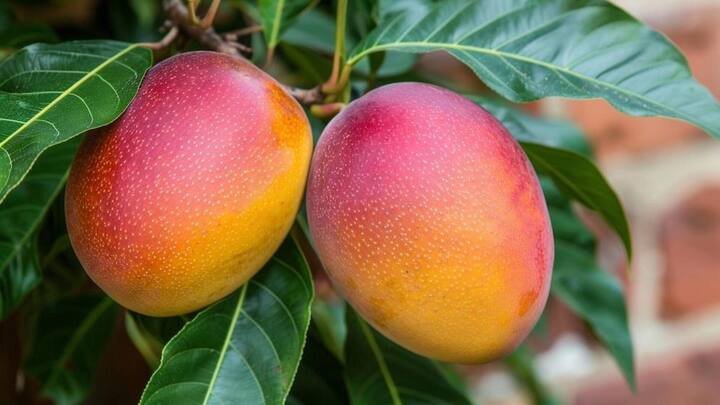 आम से बनाए जा सकते…