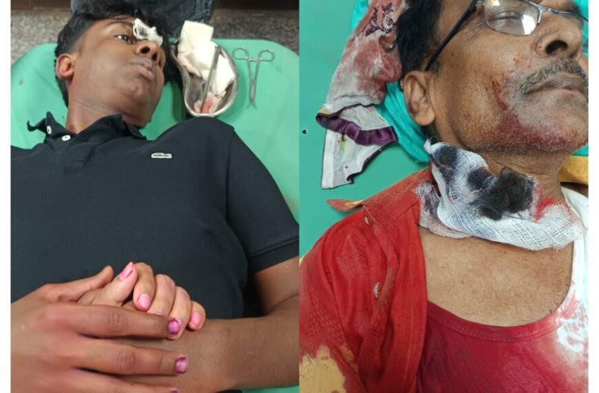 चाइनीज मांझे से बढ़ रहे&hellip;